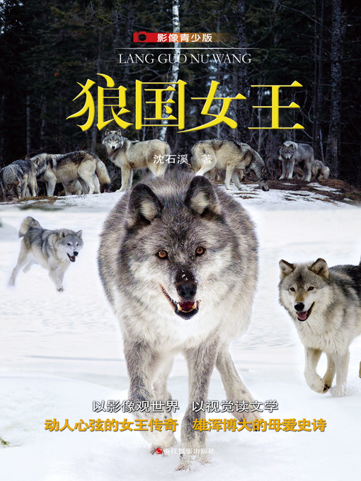 Title details for 狼国女王（影像青少版）(The Queen of Wolves) by 沈石溪 - Available